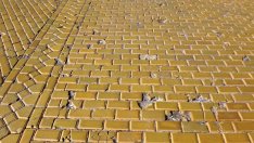 Сдружение „Зограф“: Министър Банов да глоби "Отровното трио" за къртенето на жълти павета 