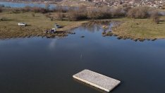 Поставиха платформа за птици във „Варненско-Белославското езеро“