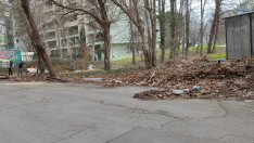 Премахнаха още 9 незаконни бараки на "Златните"