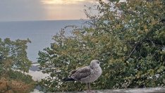 Предимно слънчево време в цялата страна днес