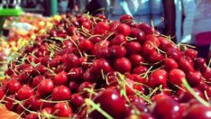 Цената на черешите удари 80 лв. за кг!