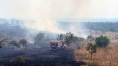 WWF: Повечето пожари започват от небрежност