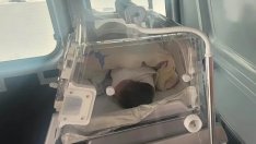 Спасиха недоносено бебе с линейка на „Капачки за бъдеще“