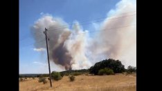 Голям пожар гори в Хасковско (ВИДЕО)