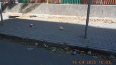 Над 5 бона санкции наложиха на сметопочистващата фирма за мръсотията в центъра на Варна