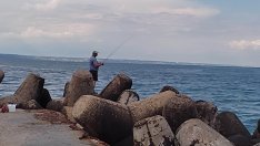 Виц на деня - 7 декември