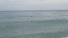 Жена от Румъния се удави край Слънчев бряг