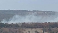 Силният вятър разпали пожара между Бенковски и Здравец