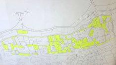 Започва санитарна сеч в Морската градина на Варна