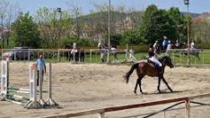 Община Варна търси кой да ремонтира конната база във „Виница“