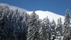 Българинът хвана гората, има все повече планинари  