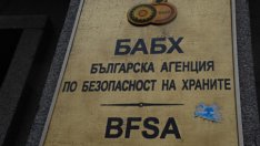 Отктиха огнище на COVID-19 във ферма за норки у нас