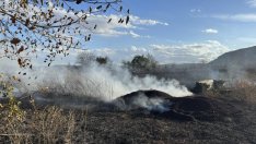 Пожар горя отново в Невша 