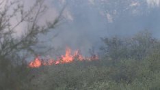 Стотици гасят пожара край  Бенковски и Здравец