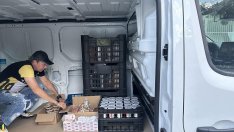 525 варненци разчитат всеки ден на Домашния социален патронаж