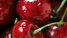 10 лева кило череши! Студовете и снеговете през април поразиха реколтата