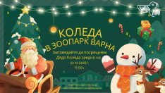 Варненският зоопарк кани децата на празнична среща с Дядо Коледа