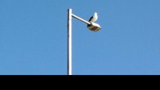 Слънчево време в утрешния ден