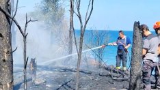 Къмпингуващи подпалиха 30 декара борова гора между Крапец и Езерец