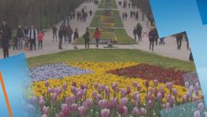 Ходенето пеша укрепва сърцето и костите