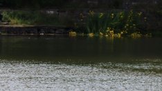 МОСВ потвърди ограничаването на водата от язовир "Камчия" за Варна