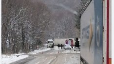 Два тира са се блъснали на пътя Разград - Търговище