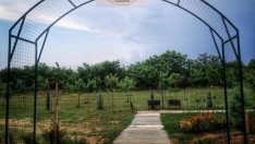 Залесяват „Борисовата градина" в „Галата“ 