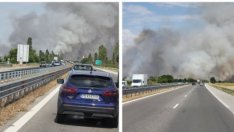 Пожар гори до Пловдив. АМ "Тракия" е затворена от дима