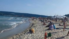 Съветите на проф. Кантарджиев: Как да останем здрави през лятото