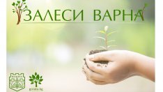 Залесяват в село Тополи днес