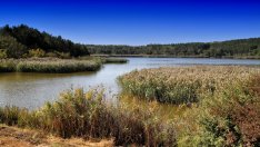 Добруджа крие приятни изненади за любителите на спорта и риболова