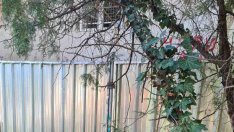 Варна получи одобрение за ремонт на къщата на Антон Новак