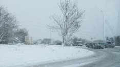 Две варненски общини бедстват, 7 села са без ток