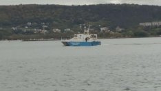 Стоянов: Ако Европа има доказателства, че дроновете в Черно море са руски, да ни ги даде