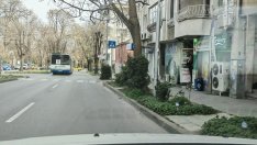 Премахнаха растителност, създаваща предпоставки за катастрофи в центъра на Варна