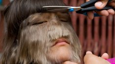 Виц на деня - 15 март