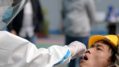 СЗО е на нокти: Нов вирус се появи в Китай