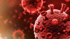 Всеки втори, прекарал COVID-19, е със сърдечни смущения