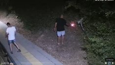 Пожарът във Велико Търново е запален умишлено (ВИДЕО)