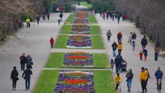 Стягат протест "НЕ на колите в Морската градина на Варна!"