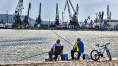 Необичайно: Сьомгова пъстърва кълве на рибари от Бургас и Варна