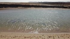 Отпускат се близо 5 млн. лв. за Шабленското и Дуранкулашкото езеро