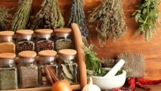 2 подправки ни вталяват за броени дни, защото плажът ни… привиква!