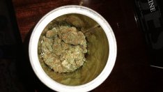 Задържаха 7 младежи с дрога при акция на МВР във Варна