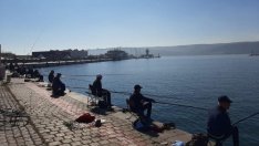 Забраняват улова на някои видове риба от 15 април