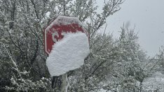 Лошо време със снеговалежи и вятър обхвана Балканите