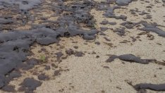 Нефтени петна се появиха на плажната ивица в Поморие