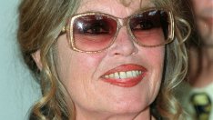 Бриджит Бардо призова французите да не използват за храна конско месо