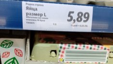 55% надценка на яйцата и 34% на прясното мляко... И ние ги купуваме?