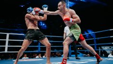 Евротитлата под прицел на SENSHI 26: Петров срещу Кедвеш